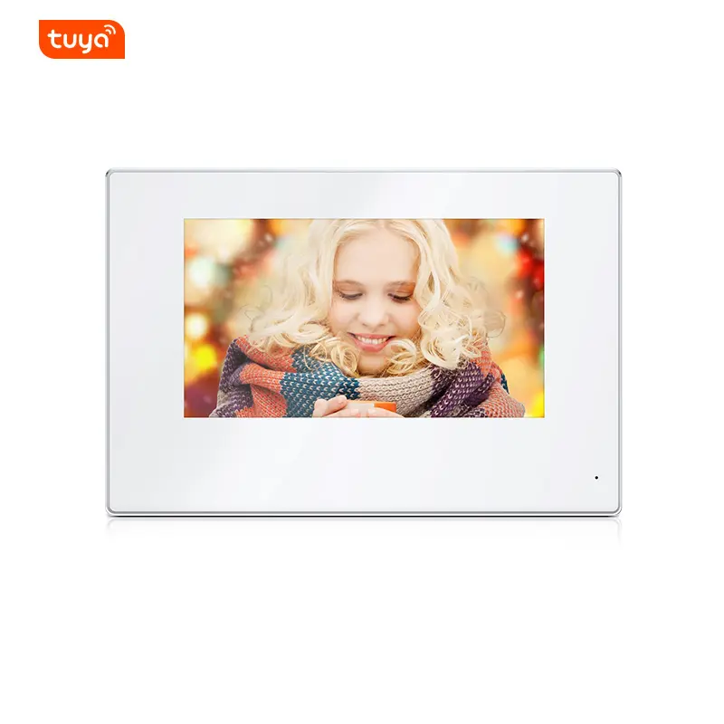 Wireless lp Video Intercom System